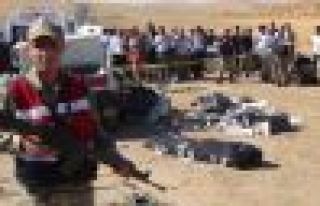 Şanlıurfa'da katliam gibi kaza: 7 Ölü, 10 Yaralı