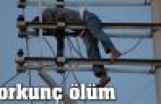 Şanlıurfa'da korkunç ölüm