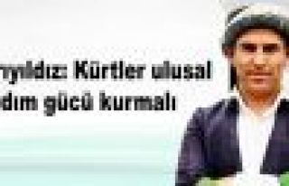 Sarıyıldız: Kürtler ulusal yardım gücü kurmalı