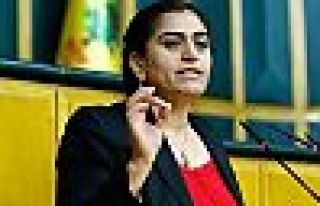 Sebahat Tuncel'in beraat gerekçesi: Hakim niyet okumaz