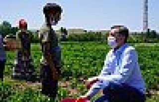 Selçuk'a çocuk işçi tepkisi: Yoksa çocuklar artık...