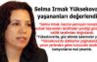 Selma Irmak: 'Vali, kedilerin cenazeleri yediğini...