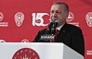 Selvi: Erdoğan yeni partileri erken doğuma zorluyor