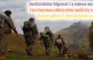 Şemdinli 3 iş makinesi ateşe verildi, 1 köprü...