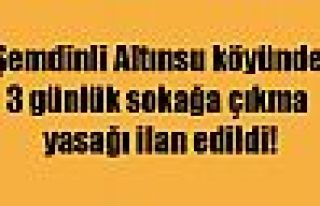 Şemdinli Altınsu Köyü'nde 3 günlük sokağa çıkma...