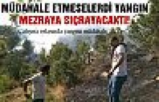 Şemdinli Altınsu köyünde çatışma sonrası orman...