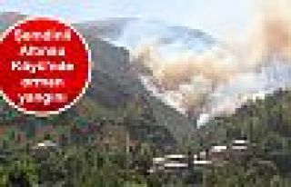 Şemdinli Altınsu Köyü'nde orman yangını