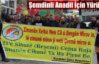 Şemdinli Anadil için yürüdü