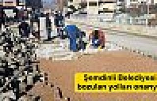 Şemdinli Belediyesi bozulan yolları onarıyor