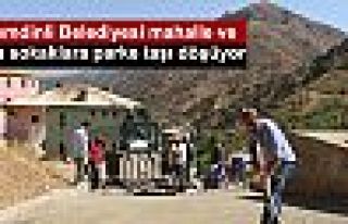 Şemdinli Belediyesi mahalle ve ara sokaklara parke...