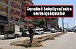 Şemdinli Belediyesi'nden peyzaj çalışmaları