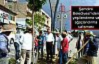 Şemdinli Belediyesi'nden yeşillendirme ve ağaçlandırma...