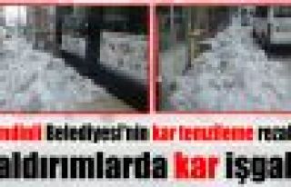 Şemdinli Belediyesi'nin kar temzileme rezaleti