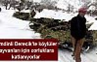 Şemdinli Derecik'te köylüler hayvanları için...