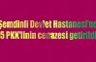 Şemdinli Devlet Hastanesi'ne 5 PKK'linin cenazesi...