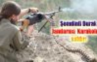 Şemdinli Durak Jandarma Karakolu'na saldırı: 1...