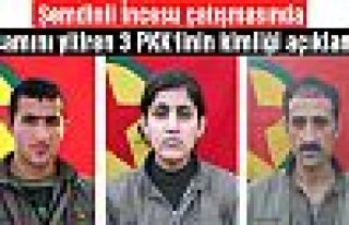 Şemdinli'de yaşamını yitiren 3 PKK'linin kimliği...