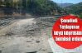 Şemdinli Yaylapınar köyü köprüsüne bombalı...