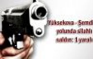 Şemdinli yolunda silahlı saldırı: 1 yaralı