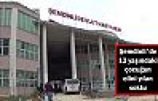 Şemdinli'de 13 yaşındaki çocuğu yılan soktu