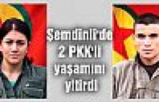 Şemdinli'de 2 PKK'li yaşamını yitirdi