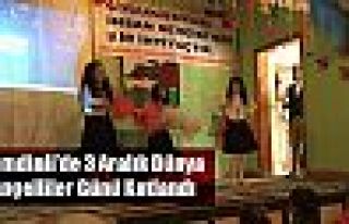 Şemdinli'de 3 Aralık Dünya Engelliler Günü Kutlandı