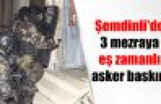 Şemdinli'de 3 mezraya eş zamanlı asker baskını