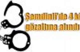 Şemdinli'de 4 kişi gözaltına alındı