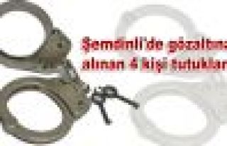 Şemdinli'de 4 kişi tutuklandı