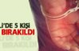 Şemdinli'de 5 kişi serbest bırakıldı