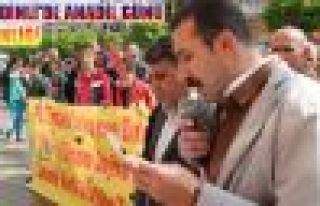 Şemdinli'de 'anadil' günü etkinliği