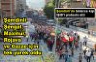 Şemdinli'de binlerce kişi IŞİD'i protesto etti