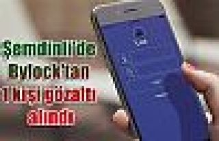 Şemdinli'de Bylock'tan 1 gözaltı