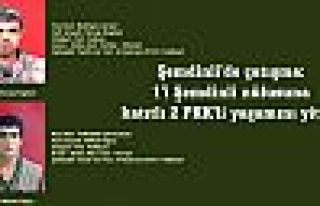 Şemdinli'de çatışma: 1'i Şemdinli nüfusuna kayıtlı...