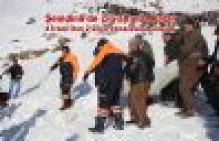 Şemdinli'de çığ altında kalan 2 Kişinin cesedine...