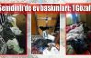 Şemdinli'de ev baskınları: 1 Gözaltı