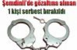 Şemdinli'de gözaltına alınan 1 kişi serbest bırakıldı