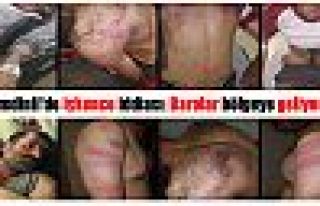  Şemdinli'de işkence iddiası: Barolar bölgeye...