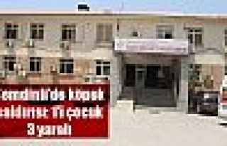 Şemdinli'de köpek saldırısı: 1'i çocuk 3 yaralı