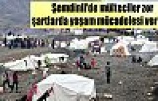 Şemdinli'de mülteciler zor şartlarda yaşam mücadelesi...