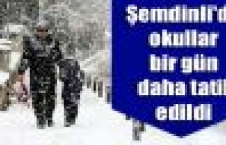 Şemdinli'de okullar bir gün daha tatil edildi 