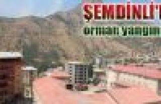 Şemdinli'de orman yangını 