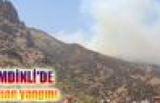 Şemdinli'de orman yangını 