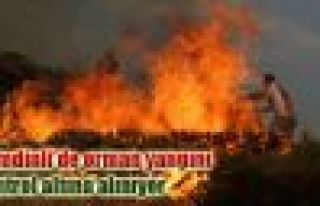 Şemdinli'de orman yangını kontrol altına alınıyor