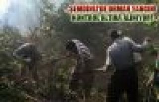 Şemdinli'de orman yangınına müdahale 