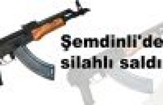 Şemdinli'de silahlı saldırı