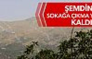 Şemdinli'de sokağa çıkma yasağı kaldırıldı