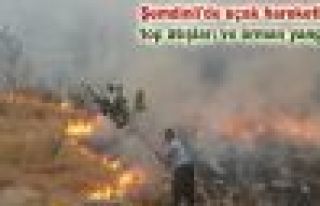 Şemdinli'de uçak hareketliliği, top atışları...