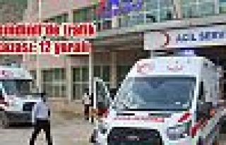 Şemdinli'de trafik kazası: 12 yaralı