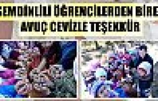 Şemdinlili öğrencilerden birer avuç cevizle teşekkür